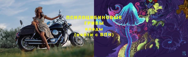 крисы Аркадак