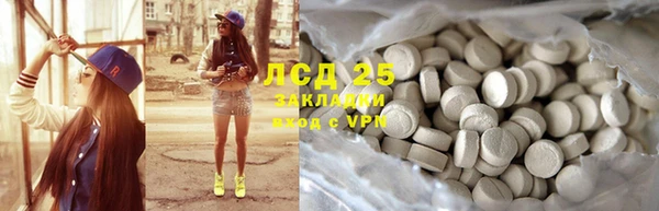 прущие грибы Арсеньев