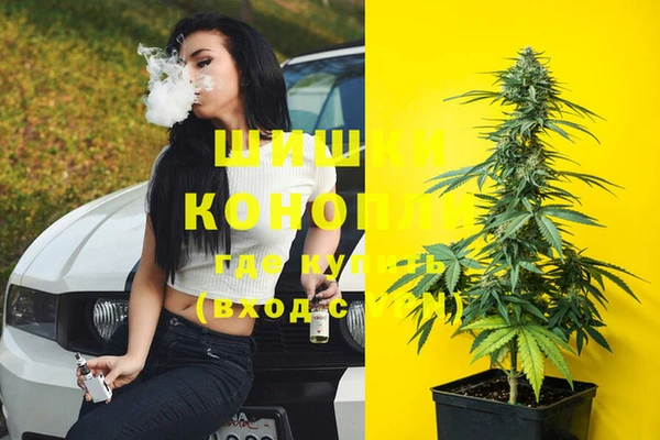 крисы Аркадак
