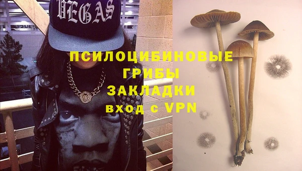 прущие грибы Арсеньев