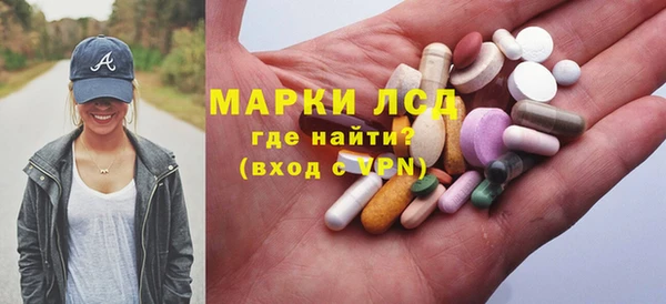 прущие грибы Арсеньев