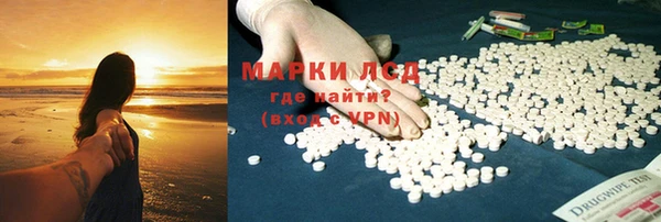 прущие грибы Арсеньев