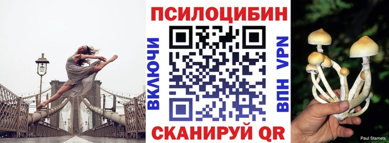 Псилоцибиновые грибы Psilocybine cubensis  Калачинск 